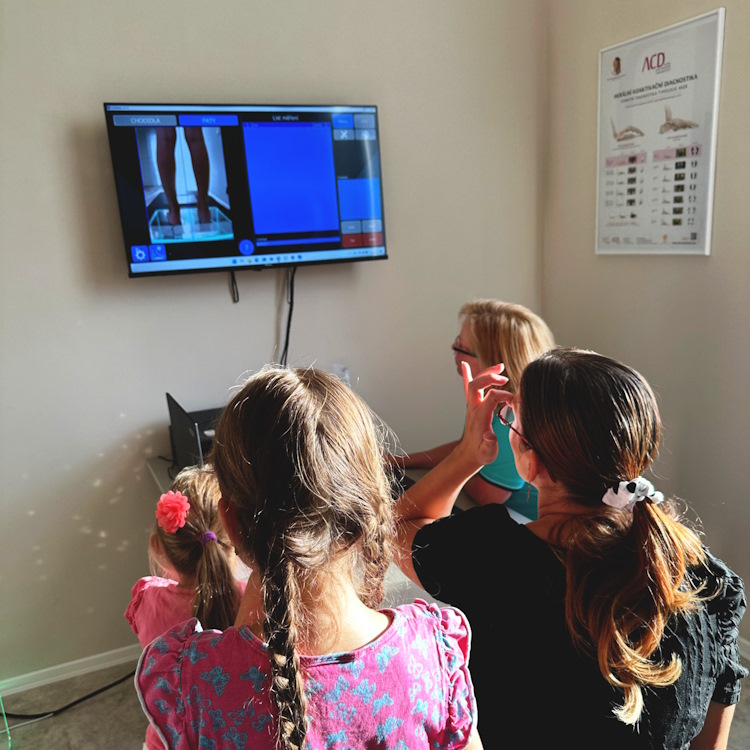 Präsentation der Untersuchungsergebnisse